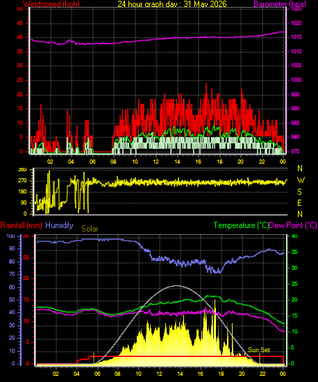 24 Hour Graph for Day 31