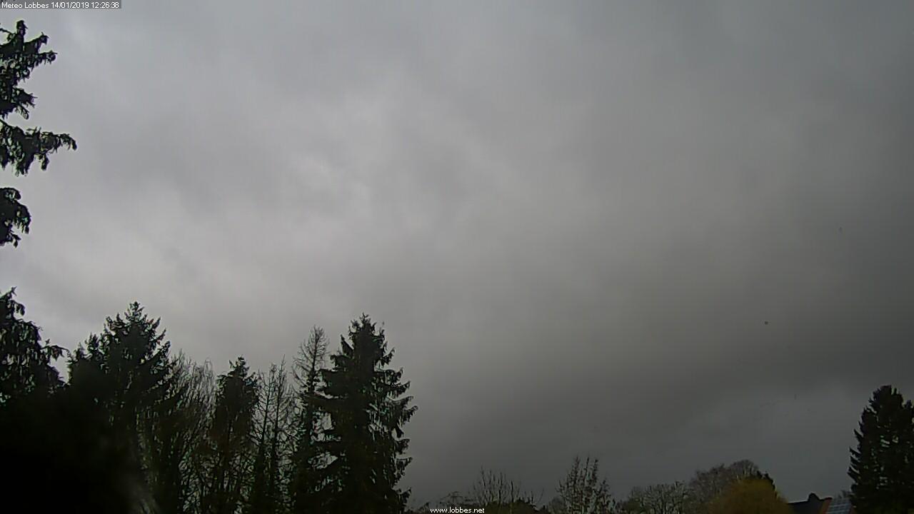 Météo Lobbes webcam 2019-01-14