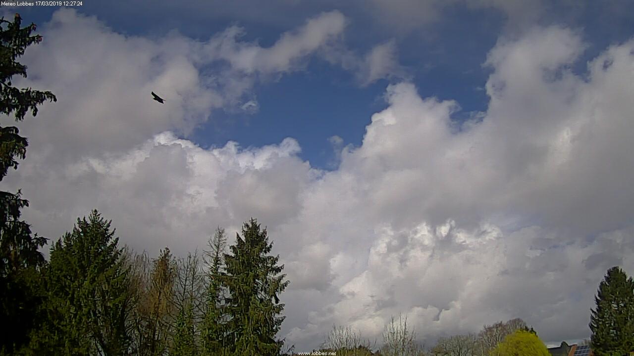 Météo Lobbes webcam 2019-03-17