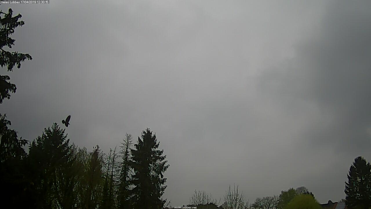 Météo Lobbes webcam 2019-04-17