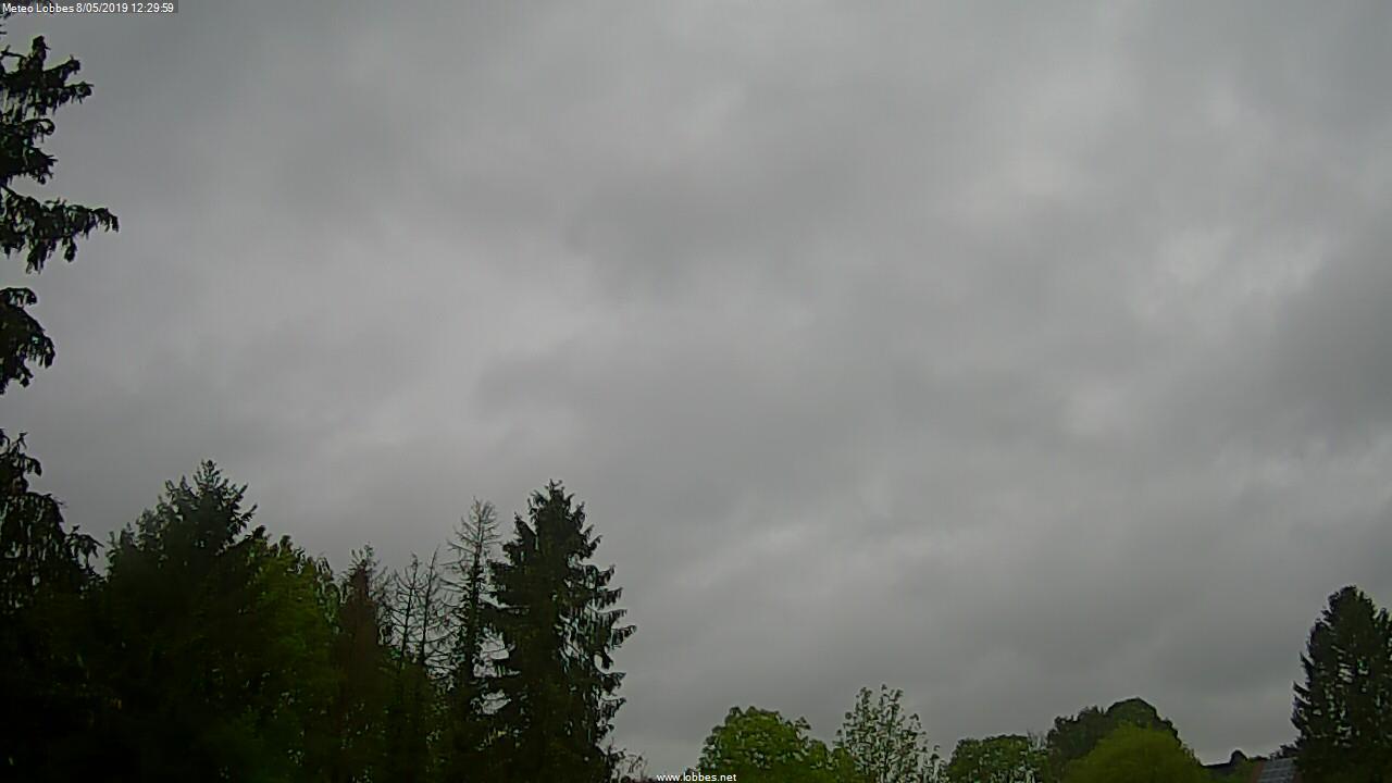 Météo Lobbes webcam 2019-05-08