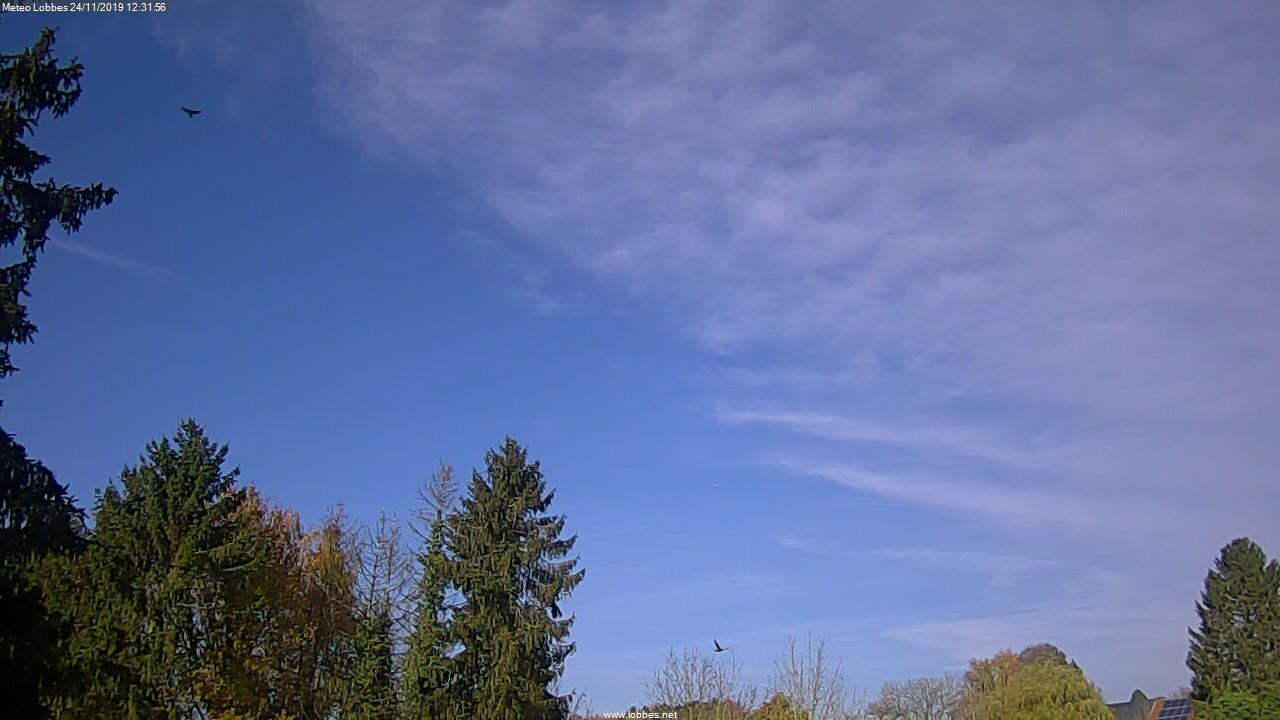 Météo Lobbes webcam 2019-11-24