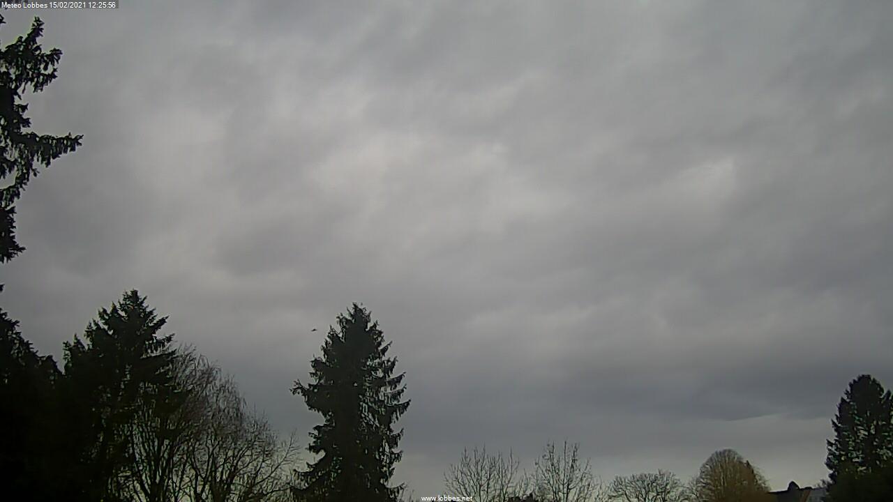 Météo Lobbes webcam 2021-02-15