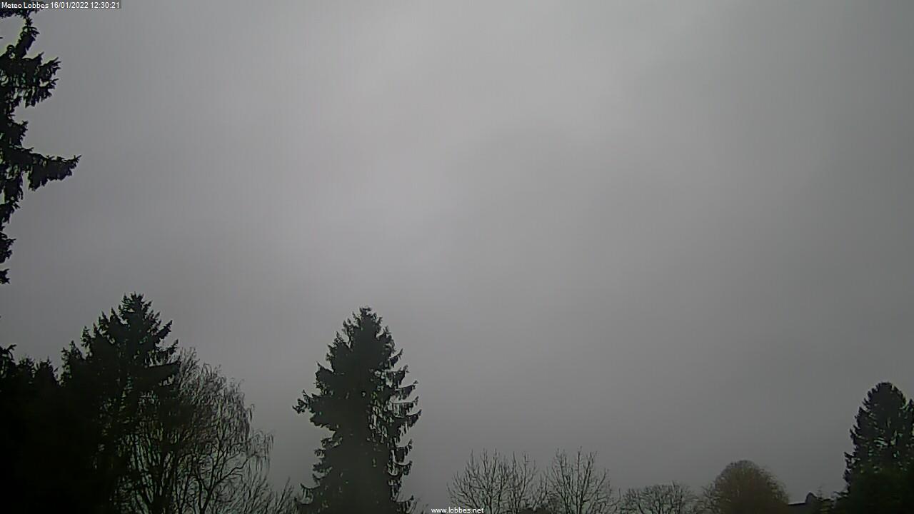 Météo Lobbes webcam 2022-01-16