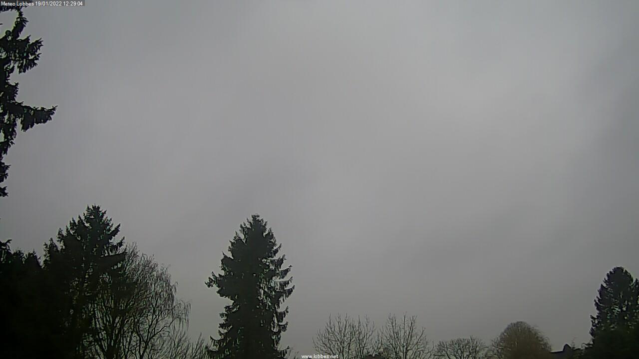 Météo Lobbes webcam 2022-01-19