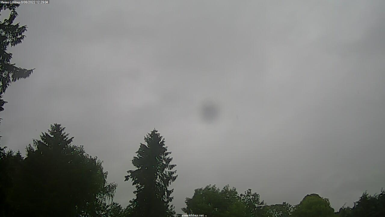 Météo Lobbes webcam 2022-06-08