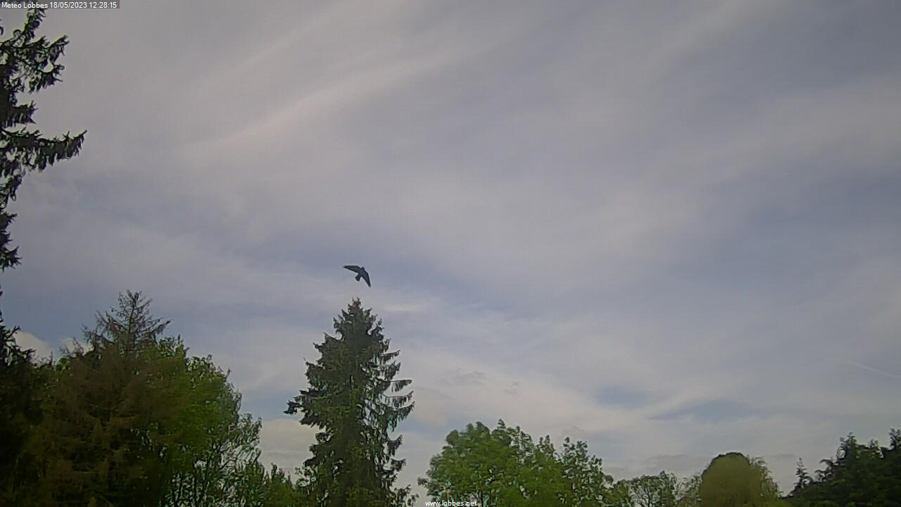 Météo Lobbes webcam 2023-05-18
