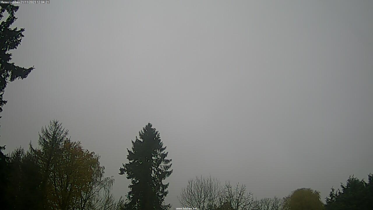 Météo Lobbes webcam 2023-11-21
