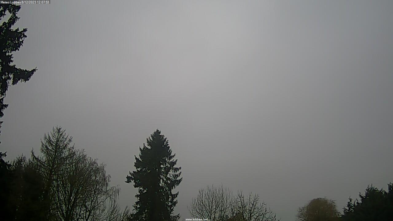 Météo Lobbes webcam 2023-12-08
