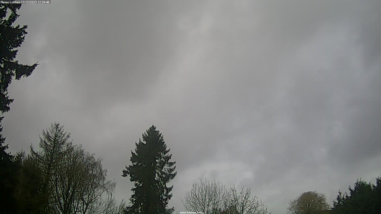 Météo Lobbes webcam 2023-12-11