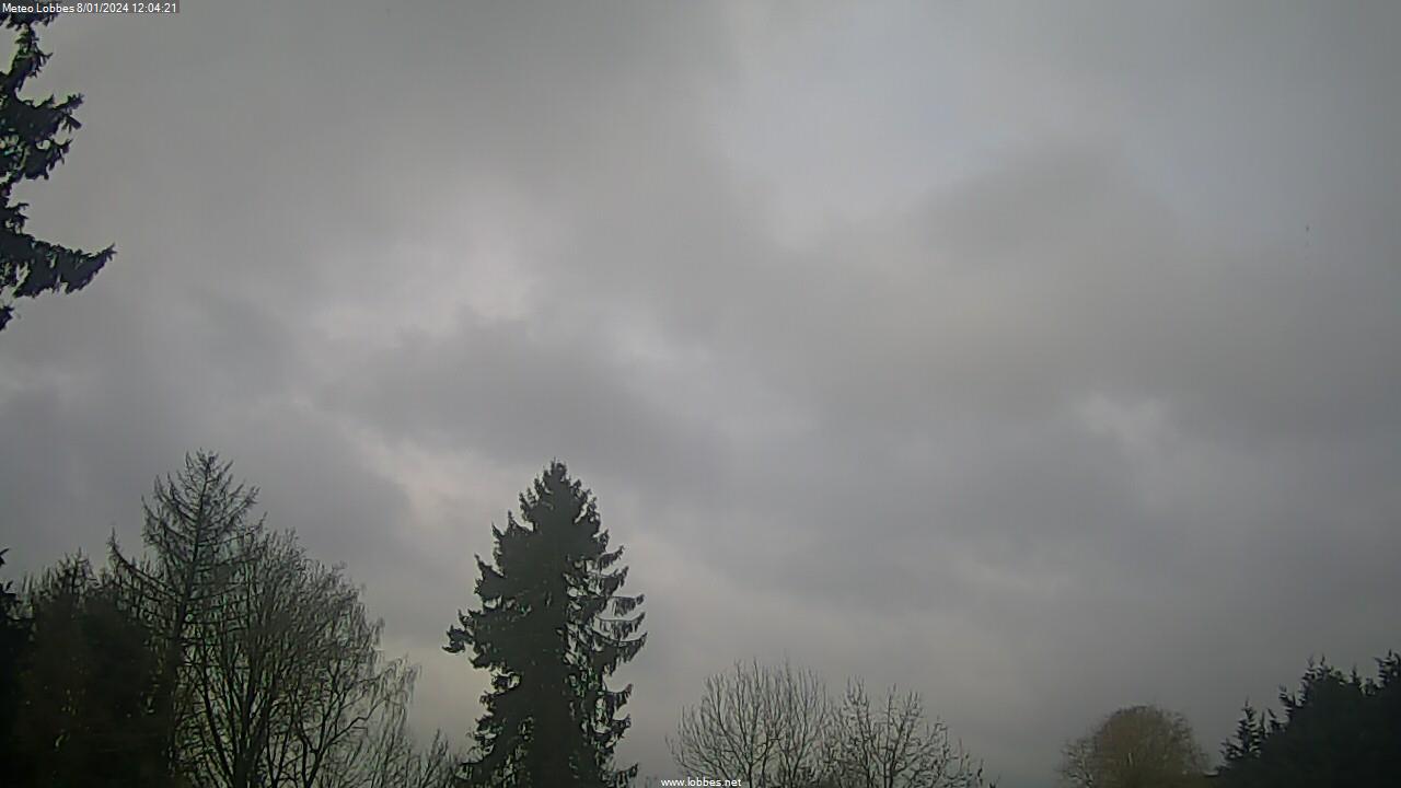 Météo Lobbes webcam 2024-01-08