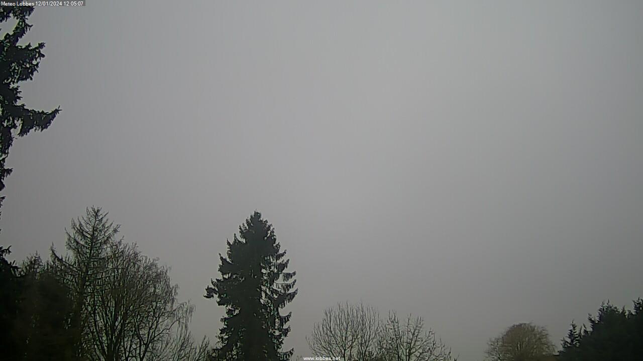 Météo Lobbes webcam 2024-01-12