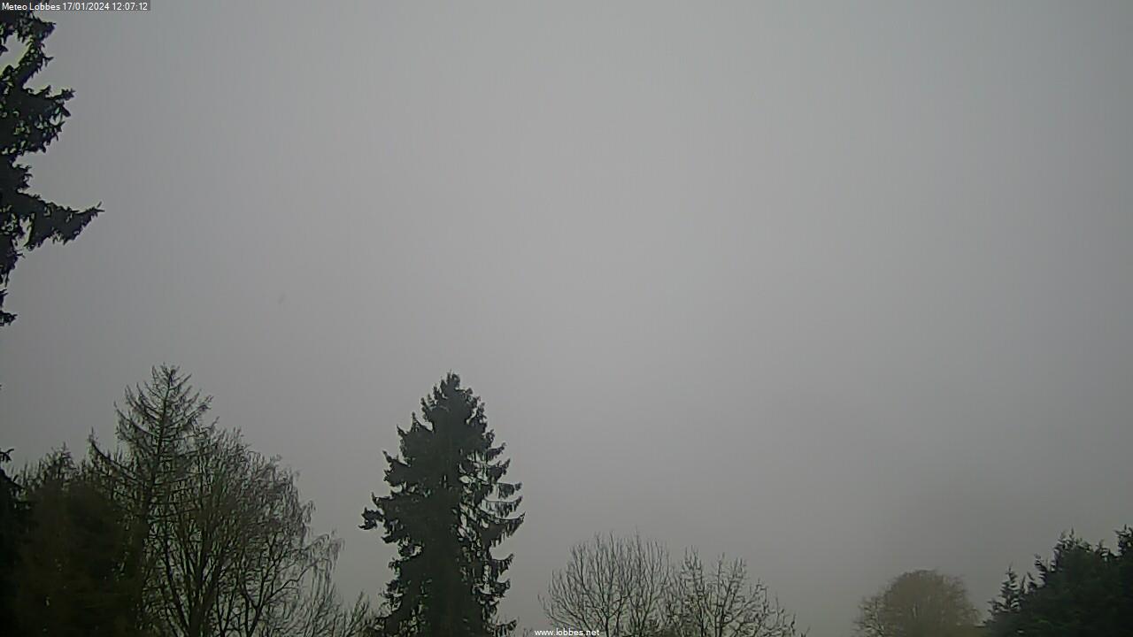 Météo Lobbes webcam 2024-01-17