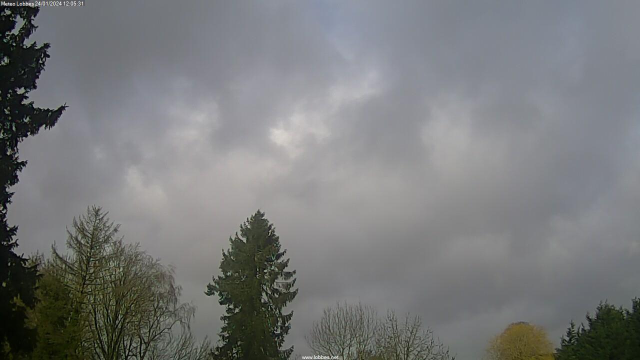 Météo Lobbes webcam 2024-01-24