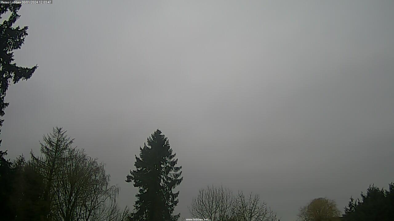 Météo Lobbes webcam 2024-01-30