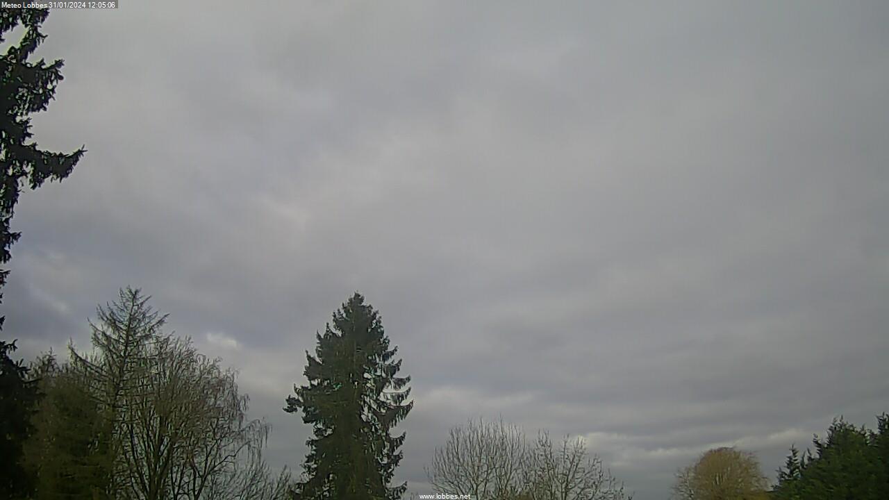 Météo Lobbes webcam 2024-01-31