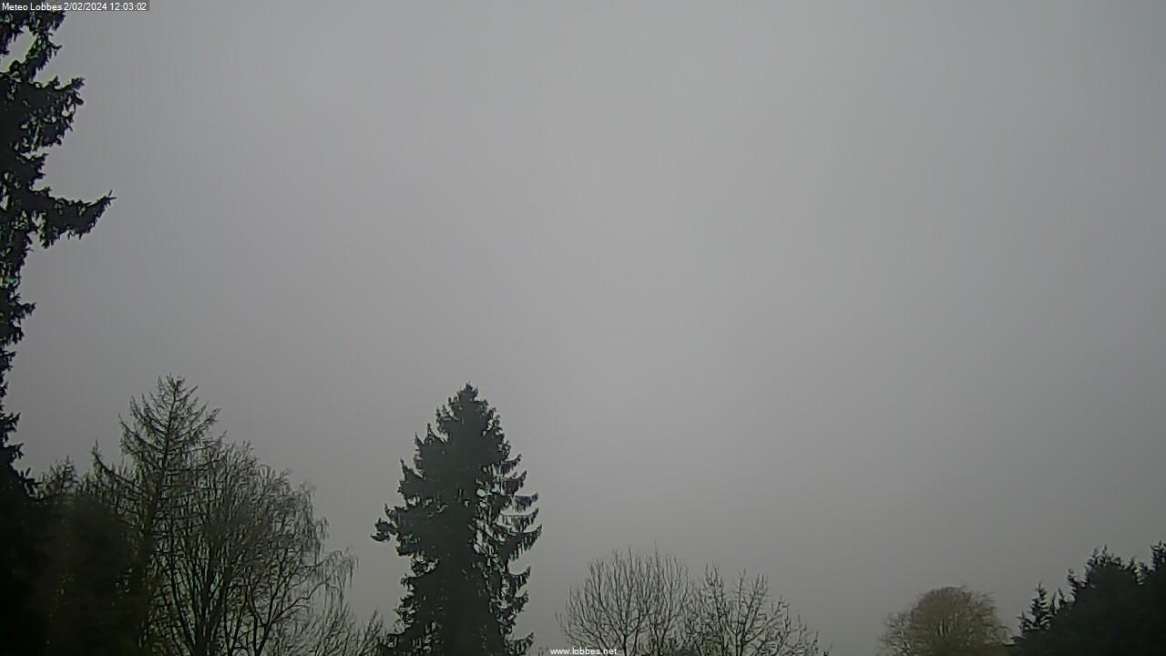 Météo Lobbes webcam 2024-02-02