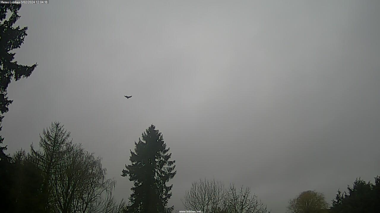 Météo Lobbes webcam 2024-02-03