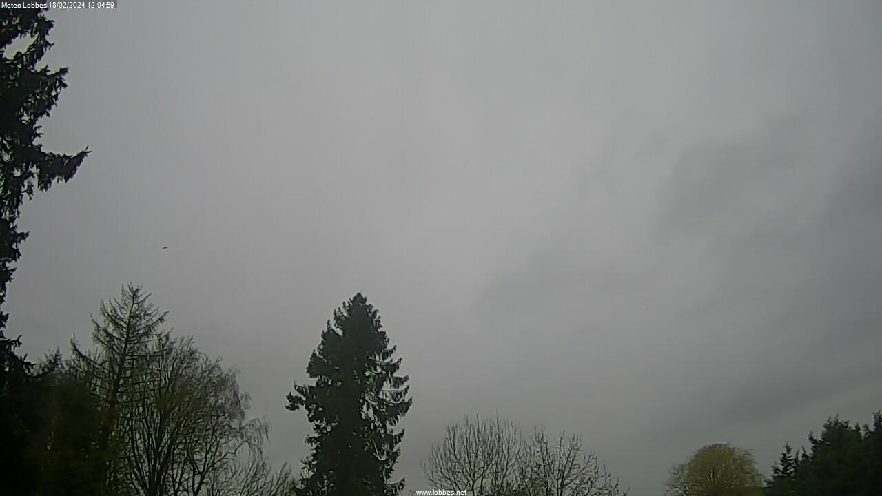 Météo Lobbes webcam 2024-02-18