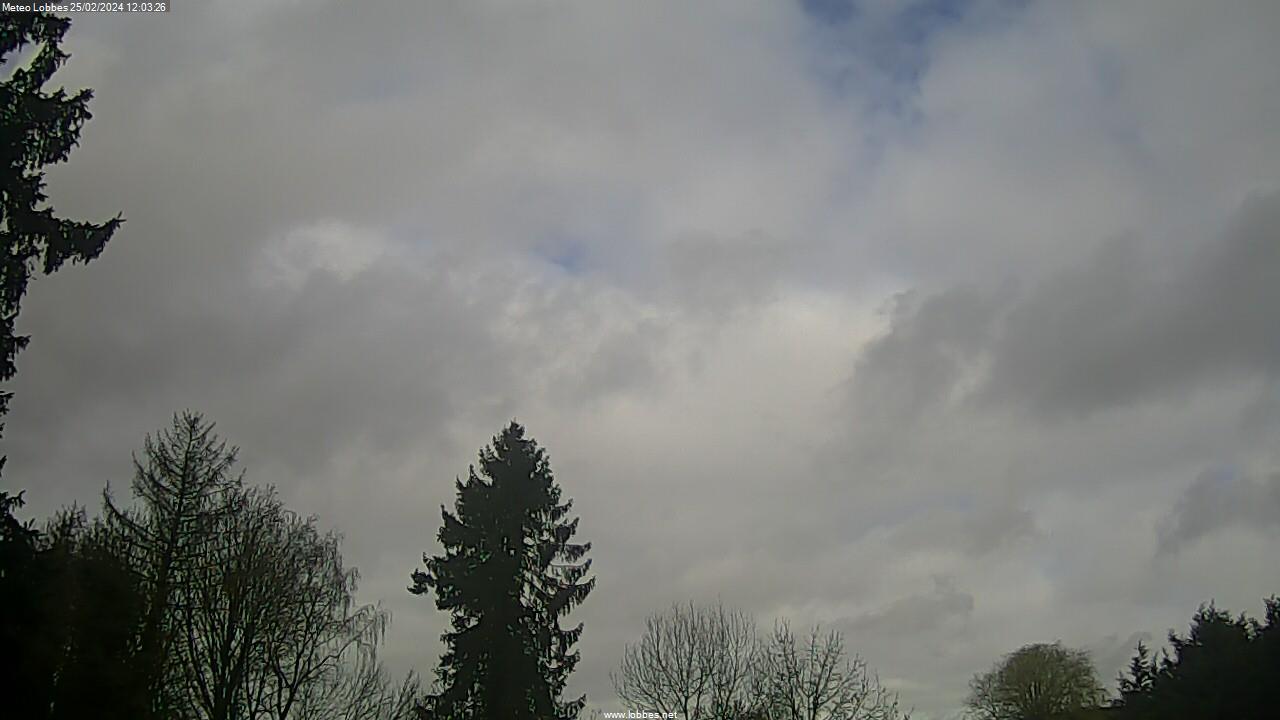 Météo Lobbes webcam 2024-02-25