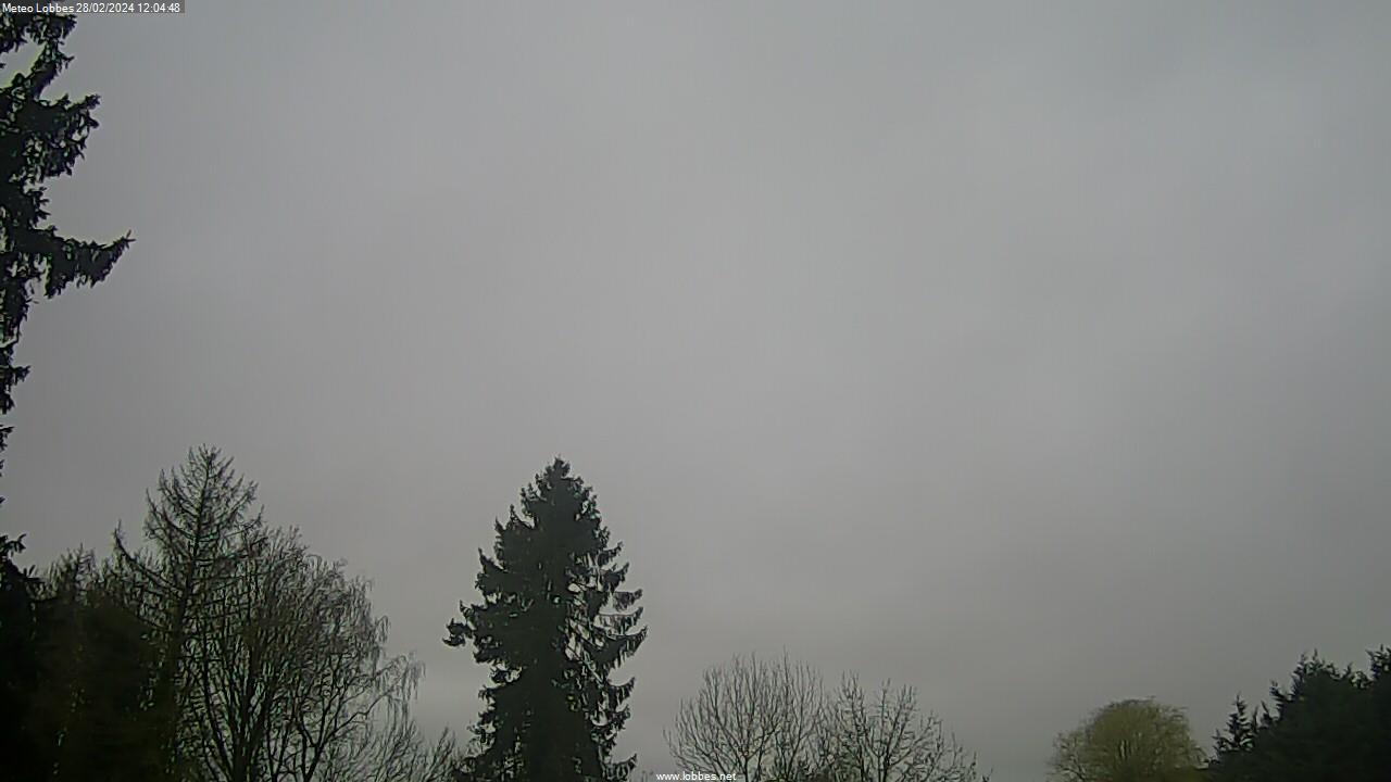Météo Lobbes webcam 2024-02-28