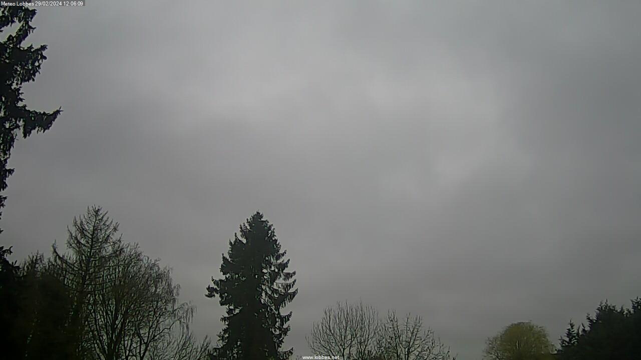 Météo Lobbes webcam 2024-02-29