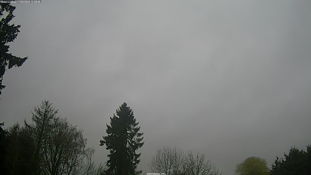 Météo Lobbes webcam 2024-03-11
