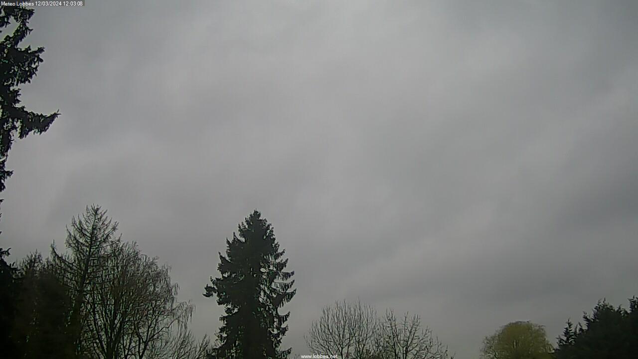 Météo Lobbes webcam 2024-03-12