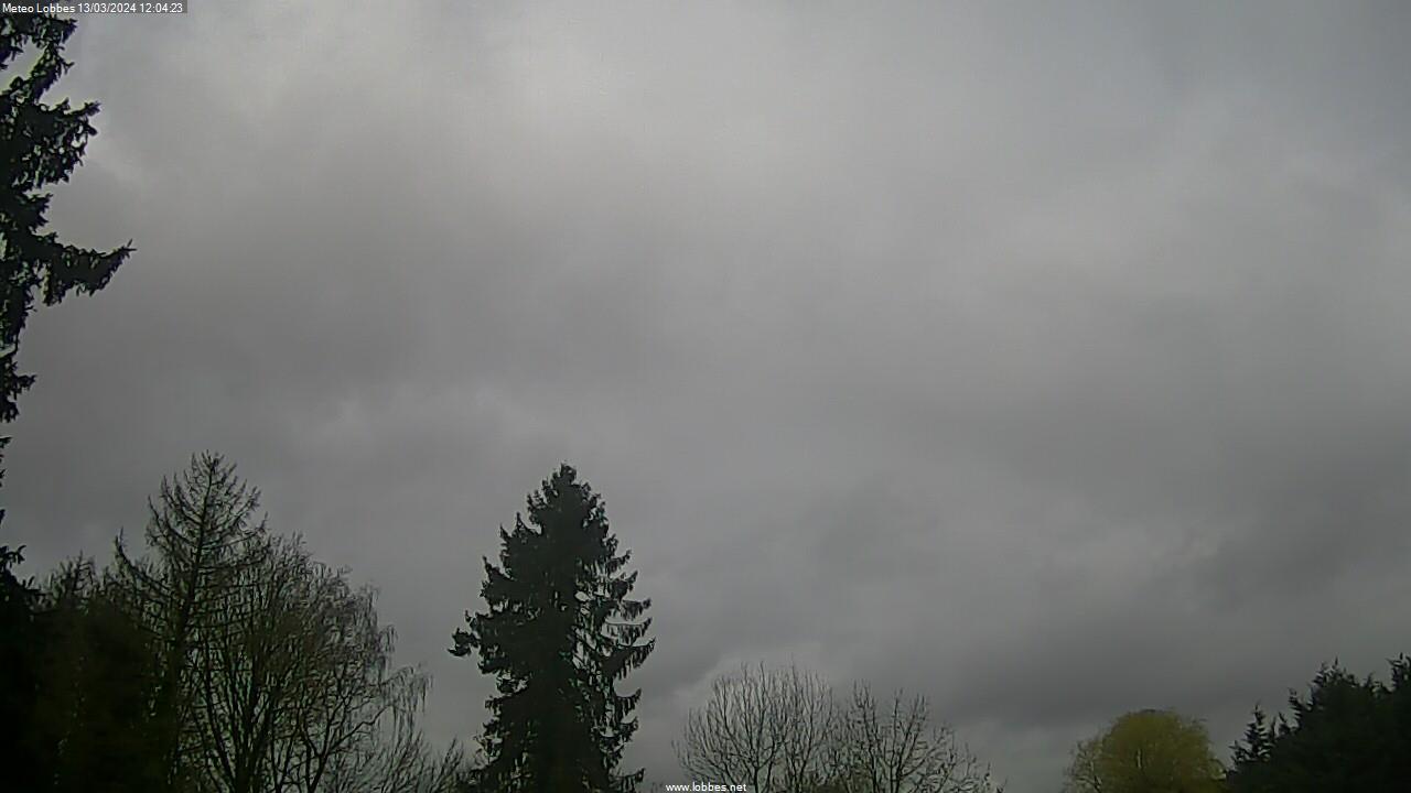 Météo Lobbes webcam 2024-03-13