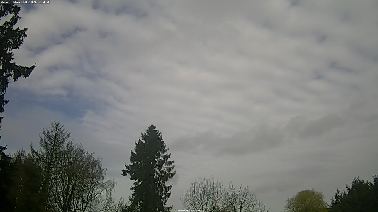 Météo Lobbes webcam 2024-03-17