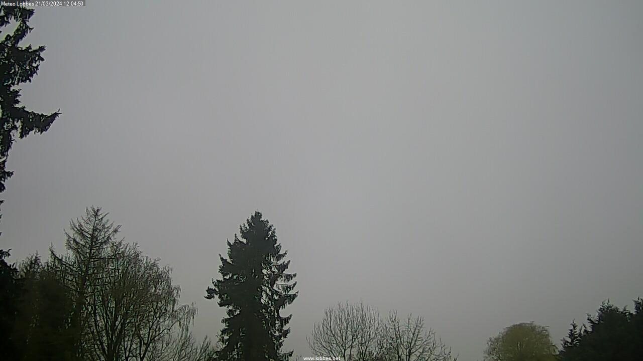 Météo Lobbes webcam 2024-03-21