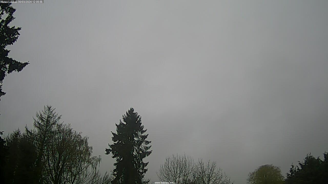 Météo Lobbes webcam 2024-03-30