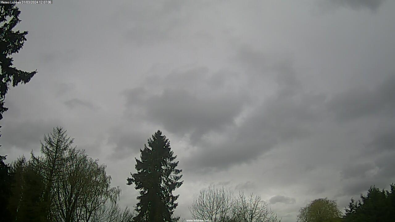 Météo Lobbes webcam 2024-03-31