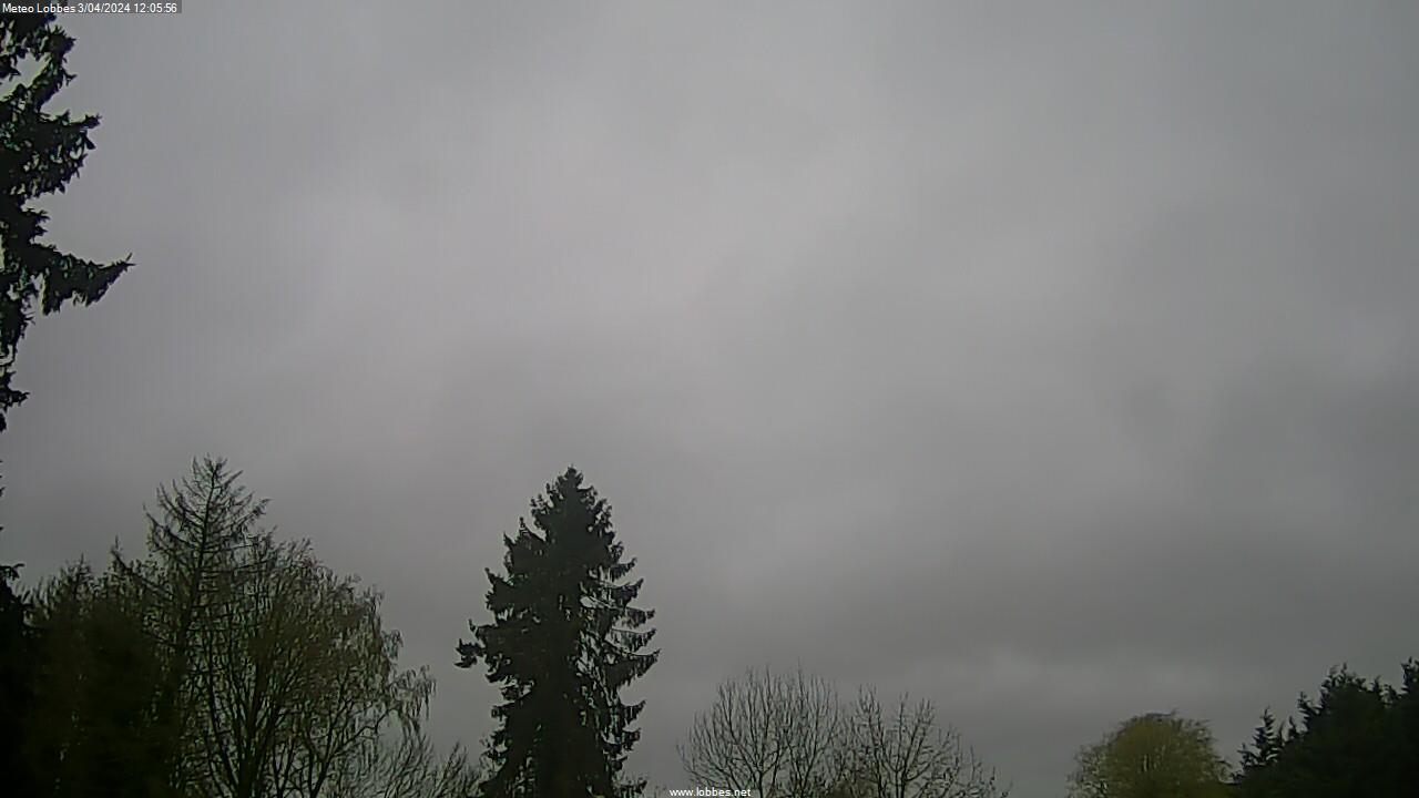 Météo Lobbes webcam 2024-04-03