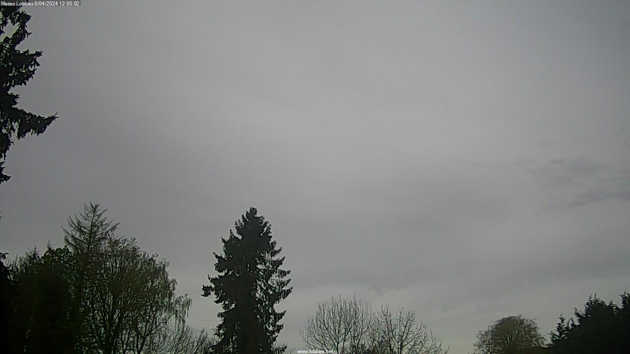 Météo Lobbes webcam 2024-04-08