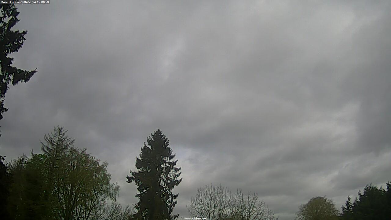 Météo Lobbes webcam 2024-04-09