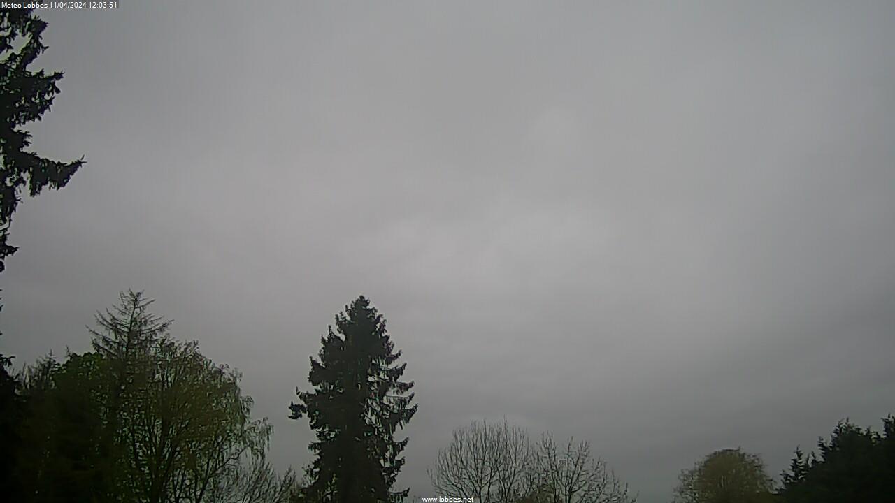 Météo Lobbes webcam 2024-04-11