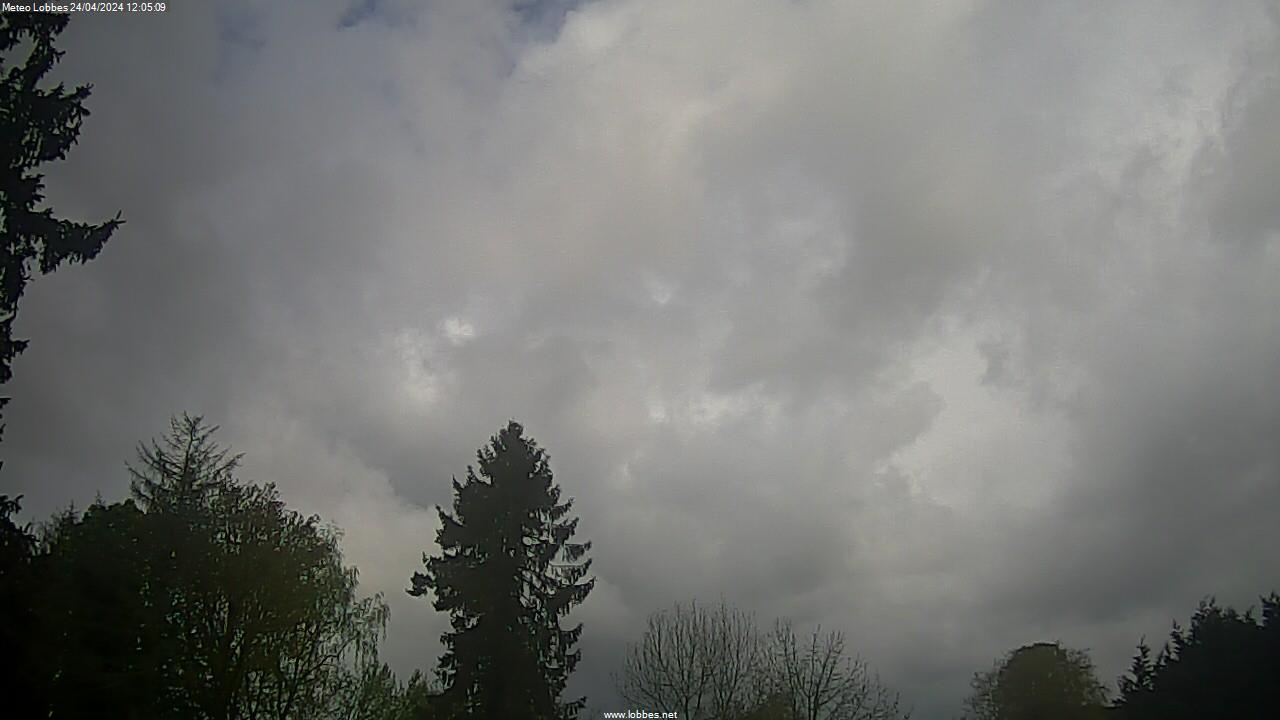 Météo Lobbes webcam 2024-04-24