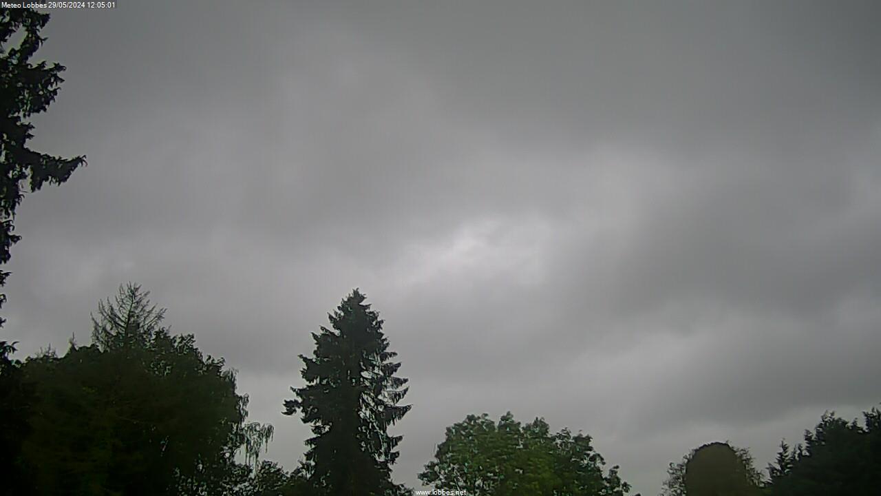 Météo Lobbes webcam 2024-05-29
