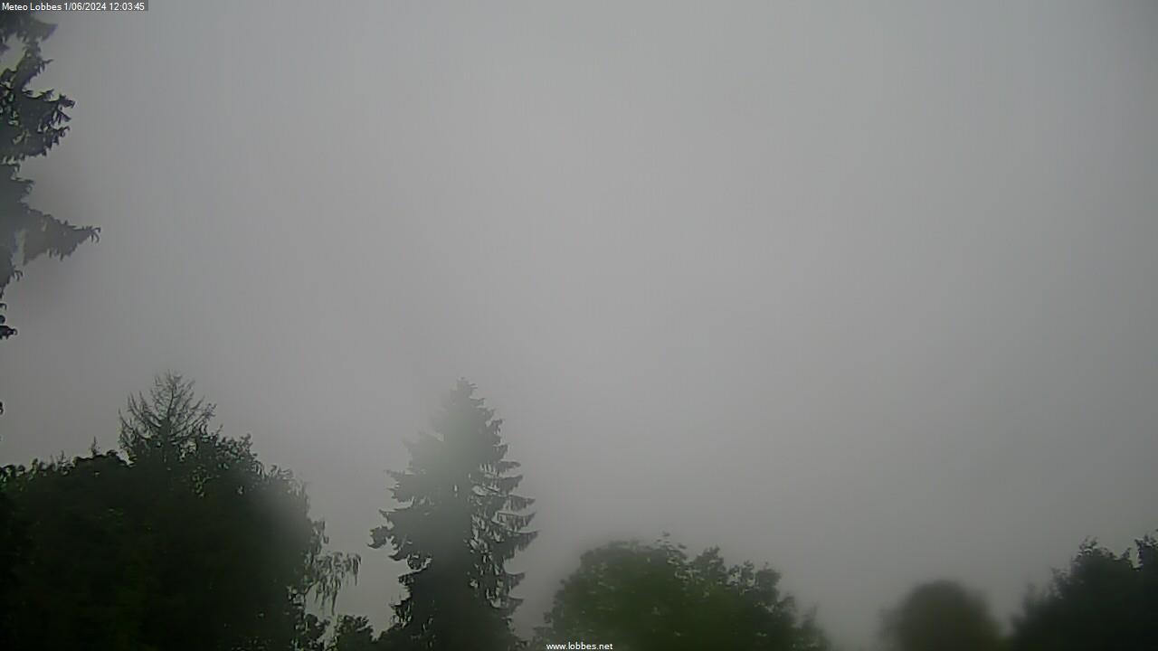Météo Lobbes webcam 2024-06-01