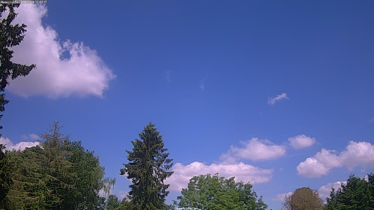 Météo Lobbes webcam 2024-06-09