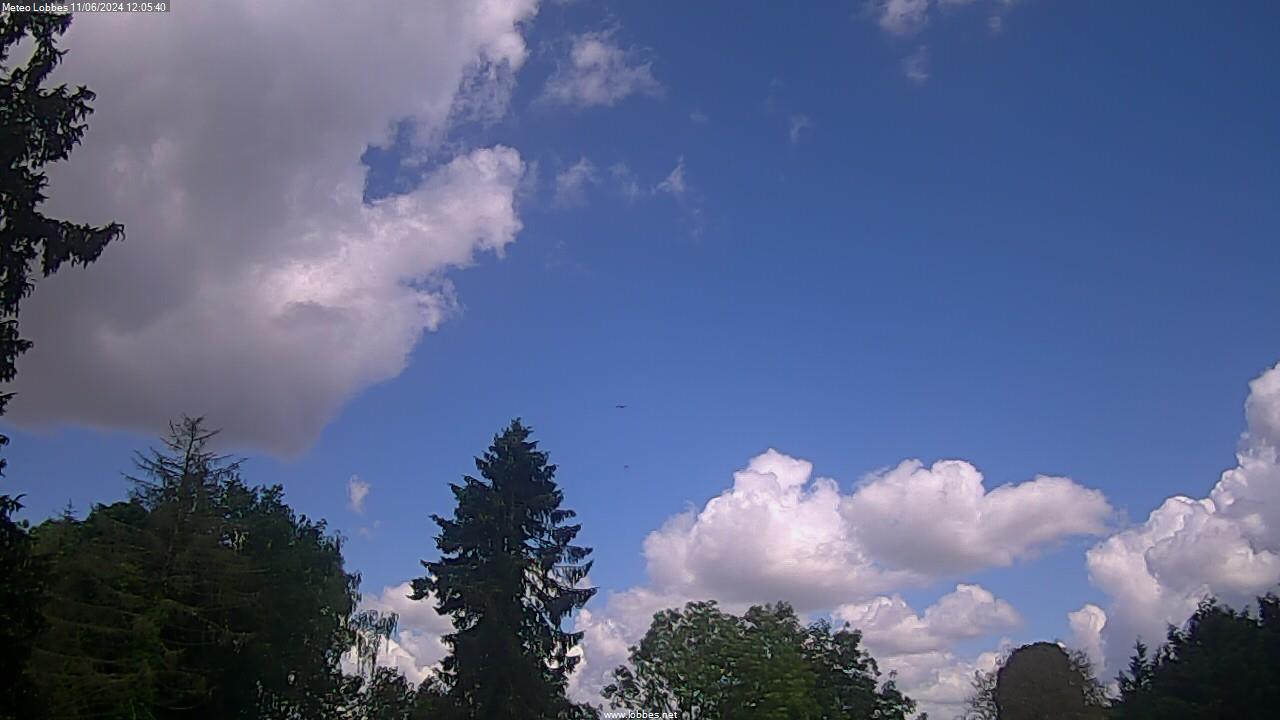Météo Lobbes webcam 2024-06-11
