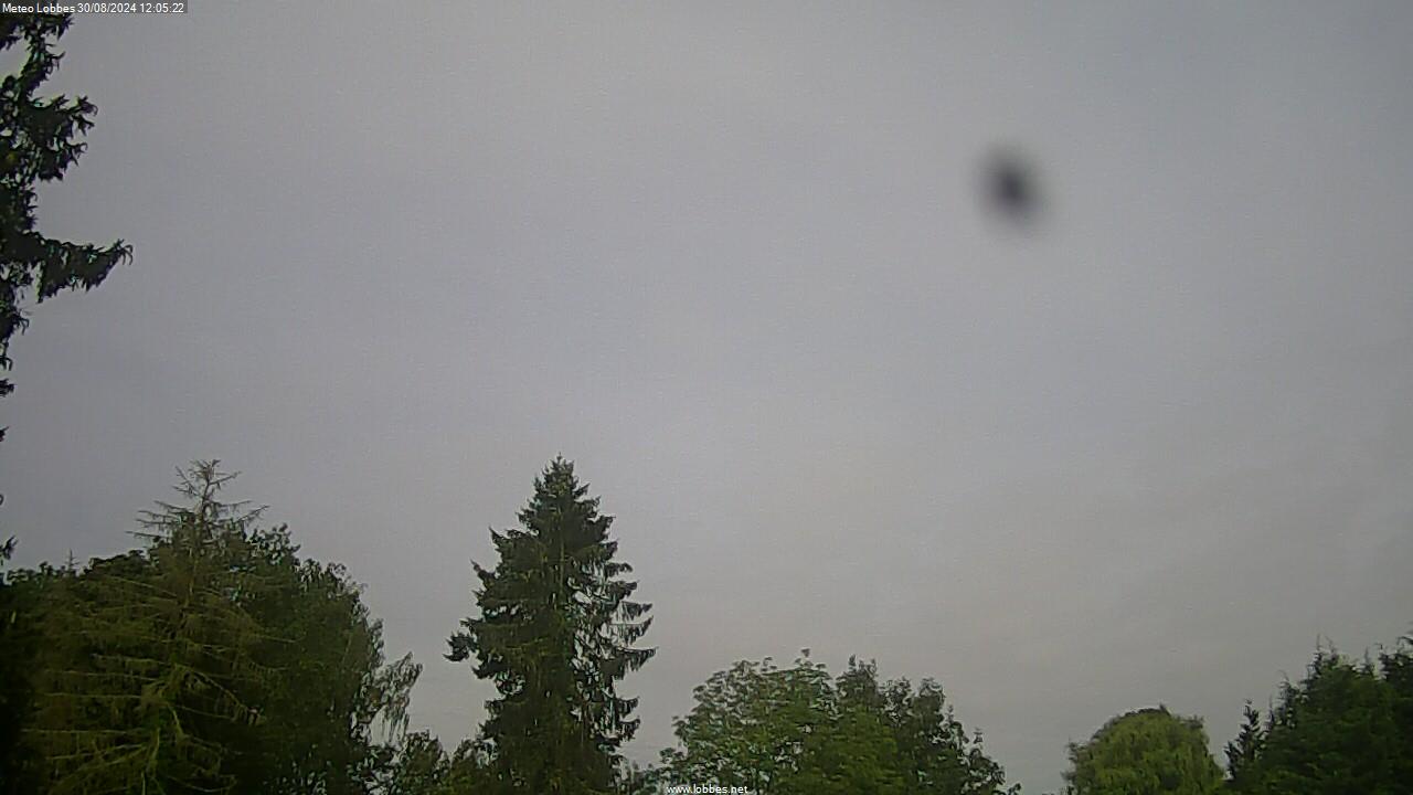 Météo Lobbes webcam 2024-08-30