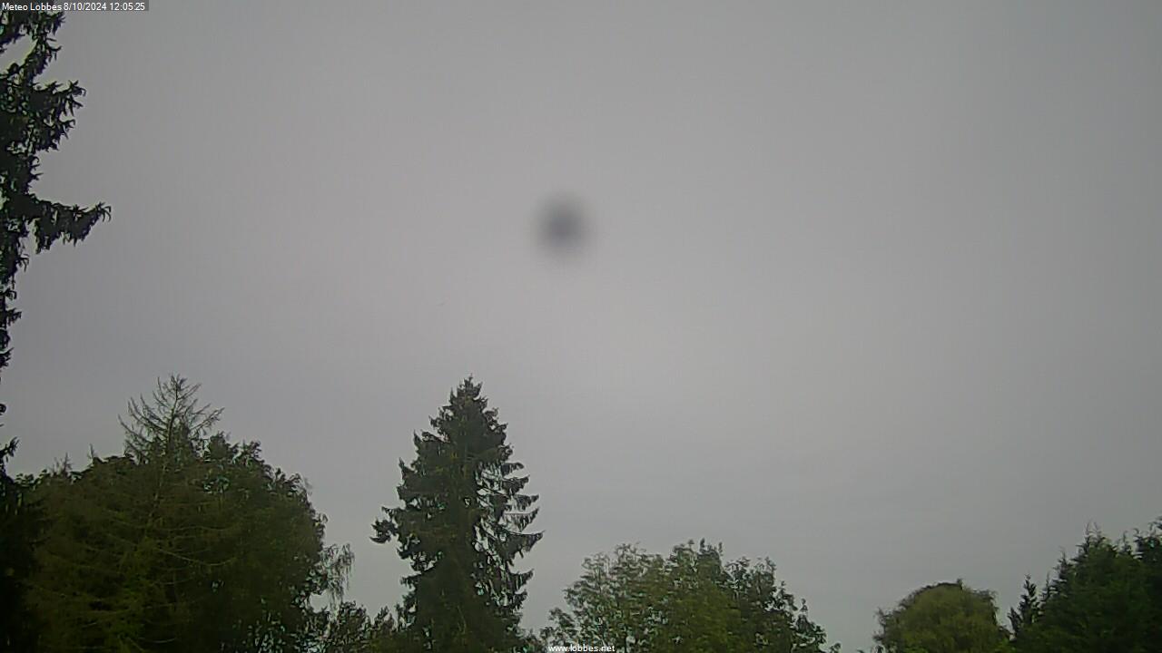 Météo Lobbes webcam 2024-10-08