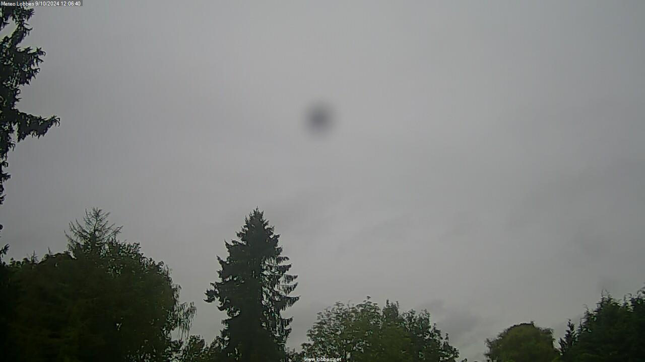 Météo Lobbes webcam 2024-10-09