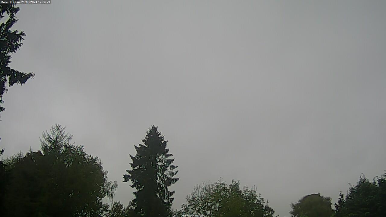 Météo Lobbes webcam 2024-10-21