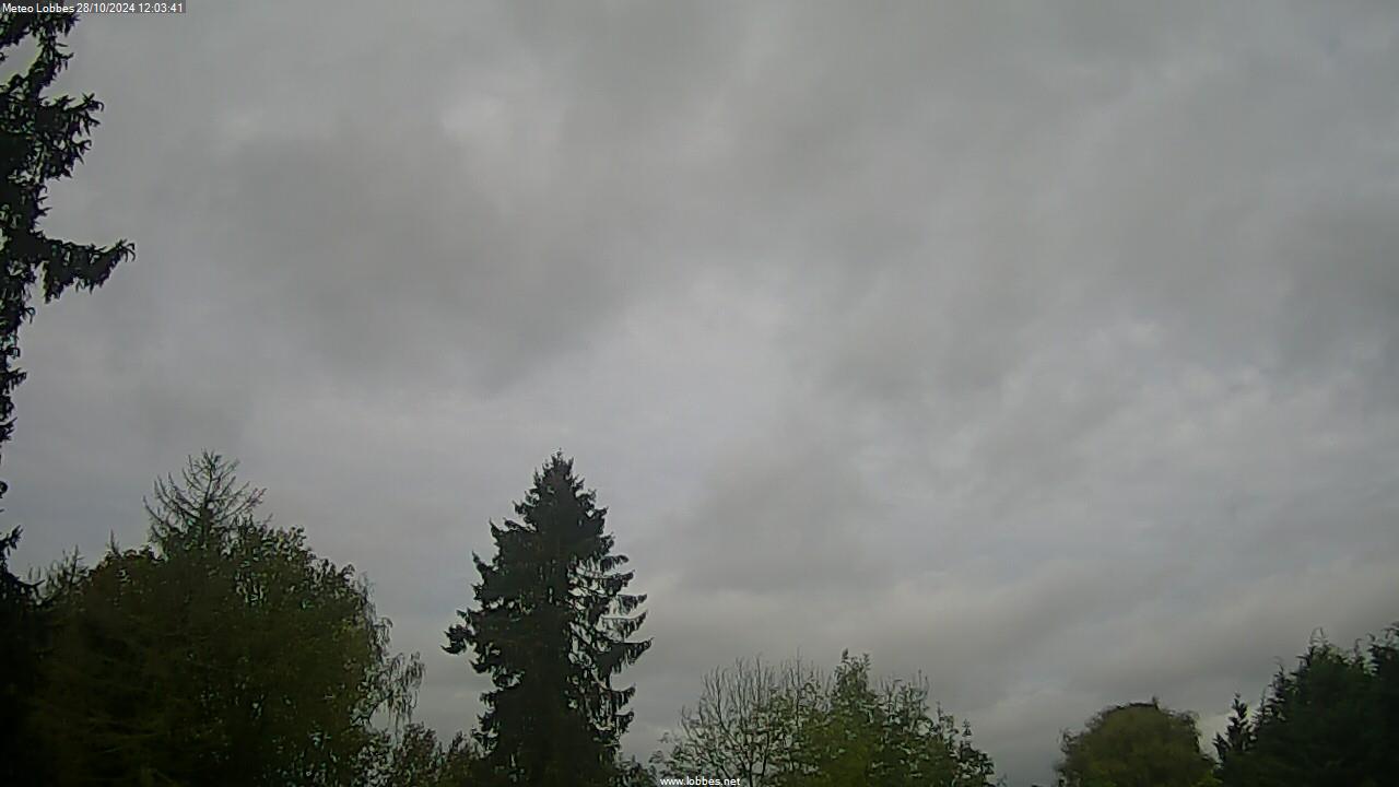 Météo Lobbes webcam 2024-10-28