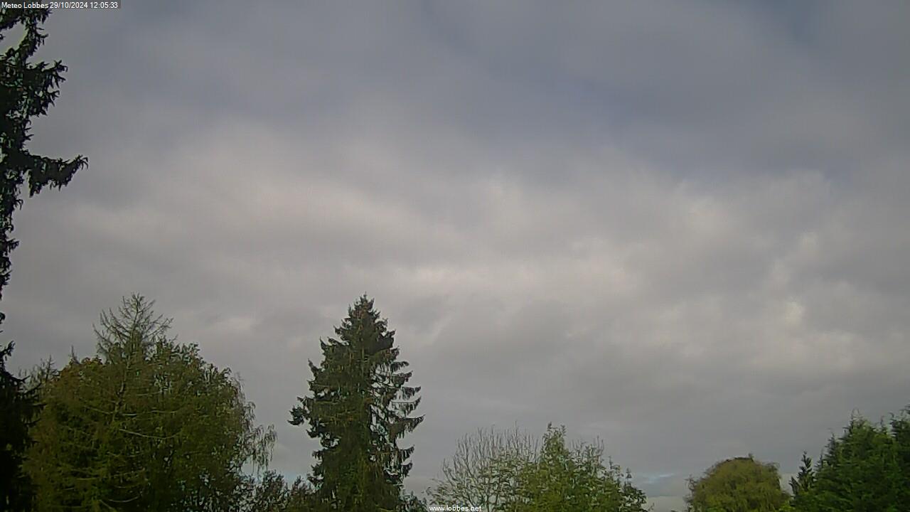 Météo Lobbes webcam 2024-10-29