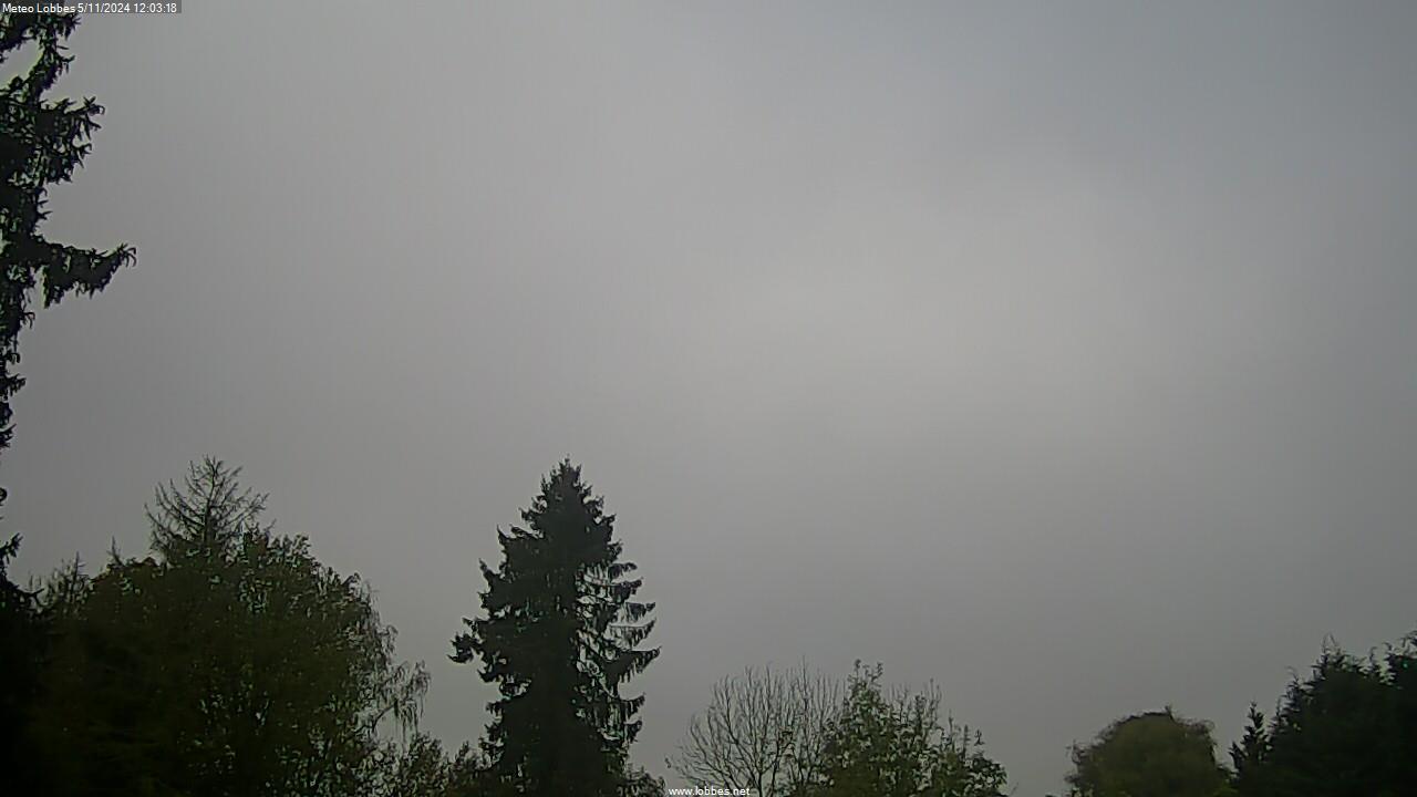 Météo Lobbes webcam 2024-11-05