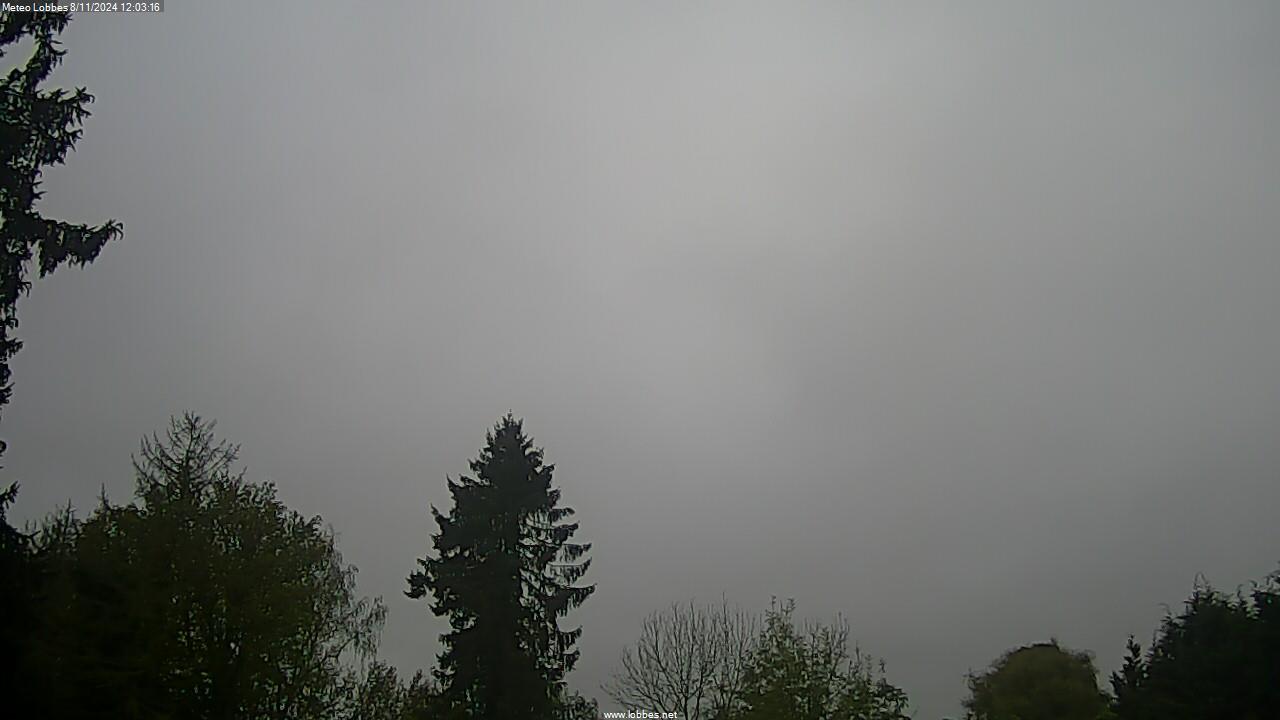 Météo Lobbes webcam 2024-11-08